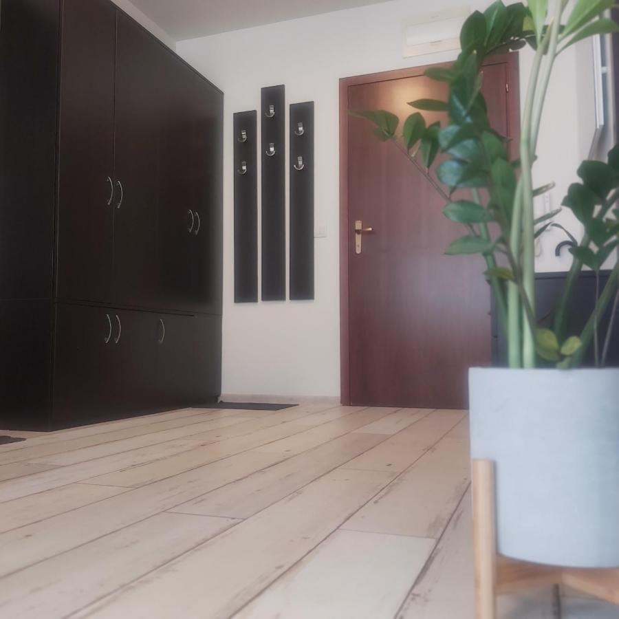 Saint Nicholas Varna Lovely 2 Bedroom Apartment With Sunny Garden Экстерьер фото