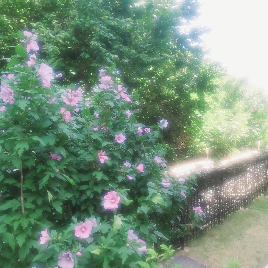 Saint Nicholas Varna Lovely 2 Bedroom Apartment With Sunny Garden Экстерьер фото